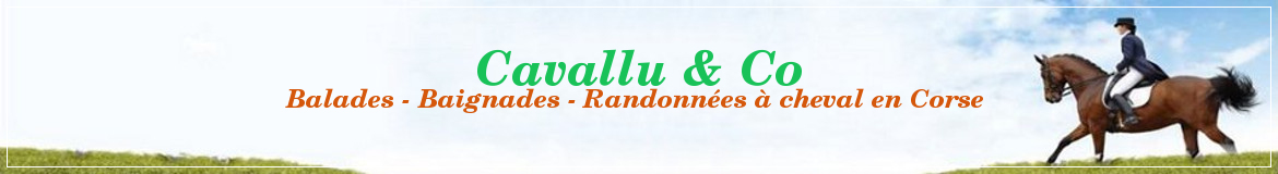 Cavallu & Co